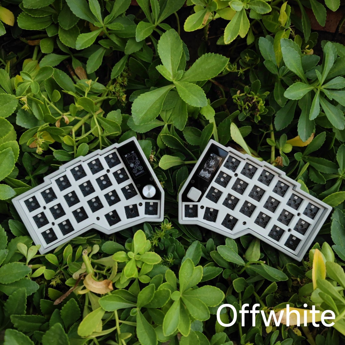 [In-Stock] Eyelash Corne Split Keyboard