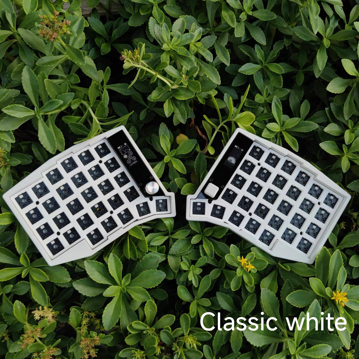 [In-Stock] Eyelash Sofle Split Keyboard