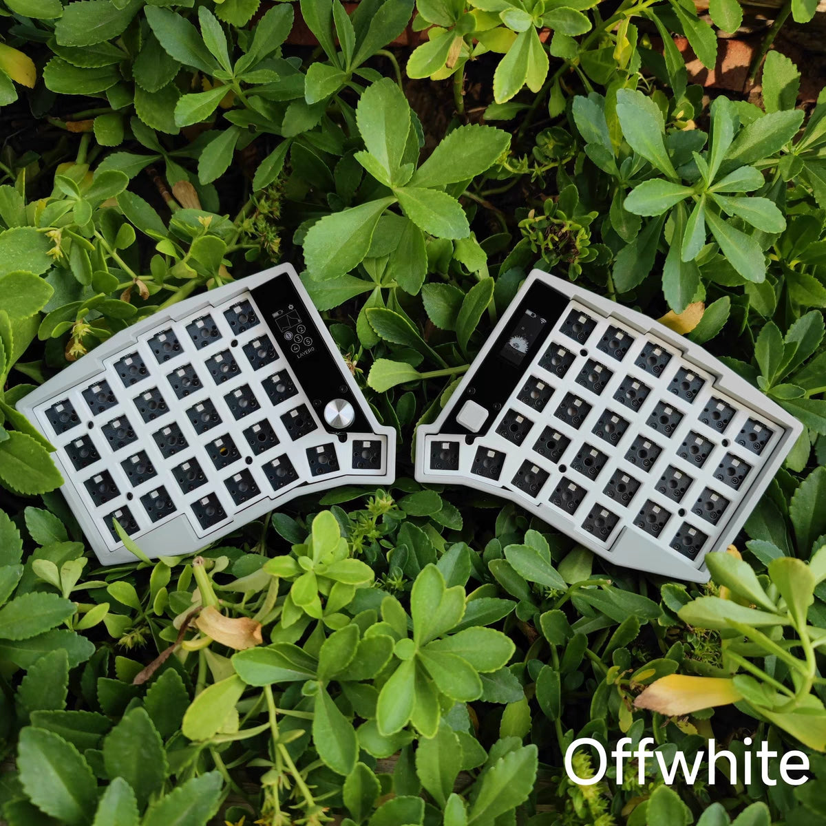 [In-Stock] Eyelash Sofle Split Keyboard