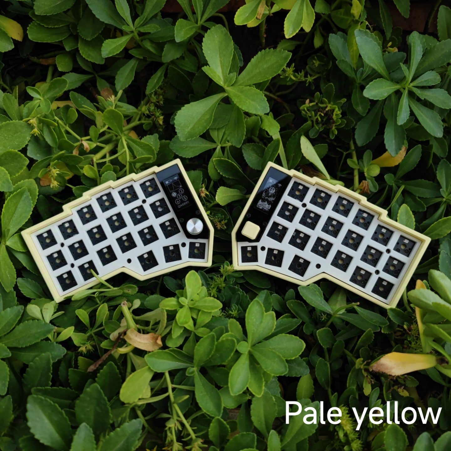 [In-Stock] Eyelash Corne Split Keyboard