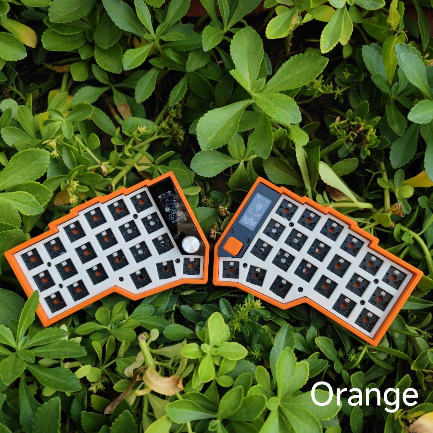 [In-Stock] Eyelash Corne Split Keyboard