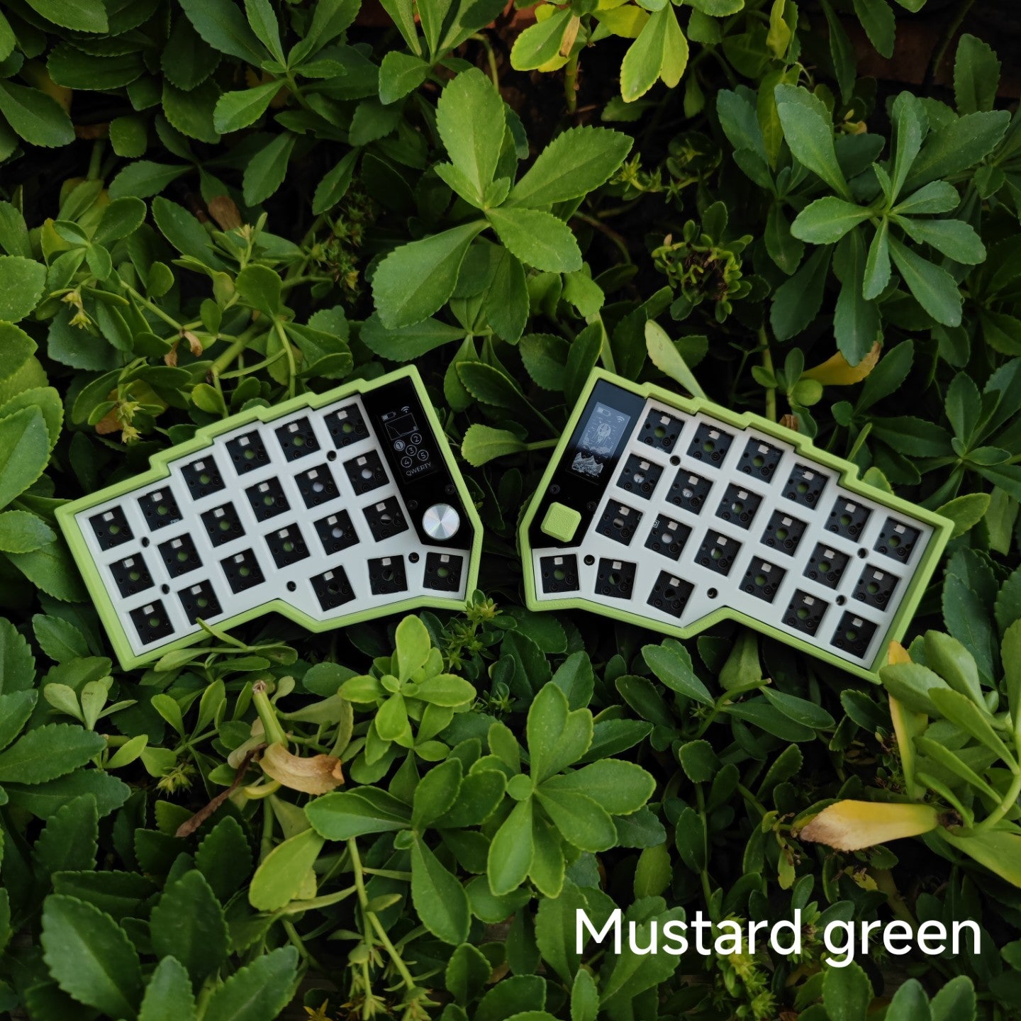 [In-Stock] Eyelash Corne Split Keyboard