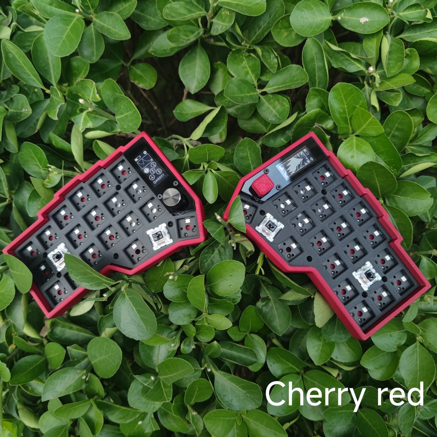 [In-Stock] Eyelash Corne Split Keyboard