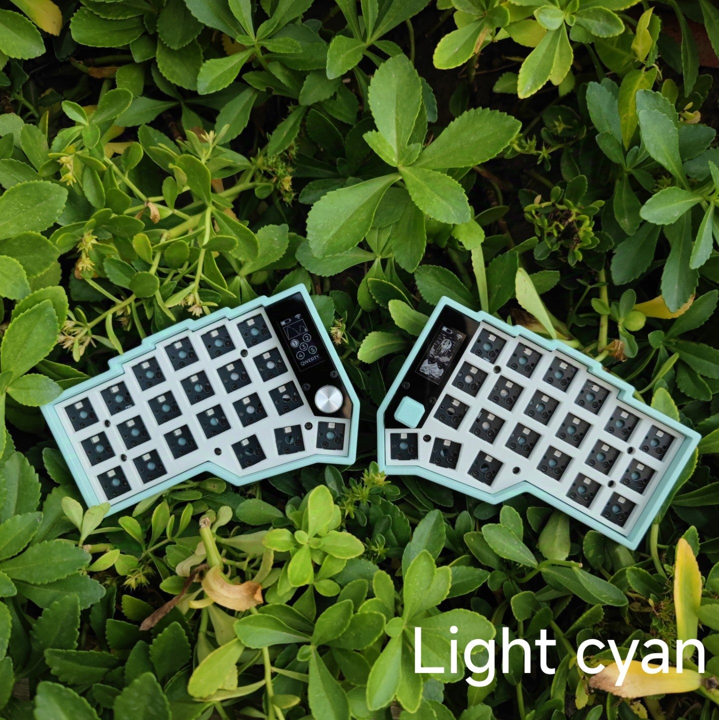 [In-Stock] Eyelash Corne Split Keyboard